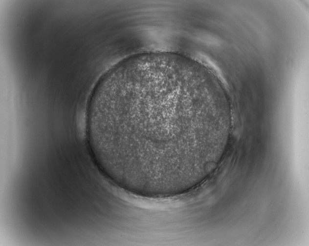 X0000095130012200712211339