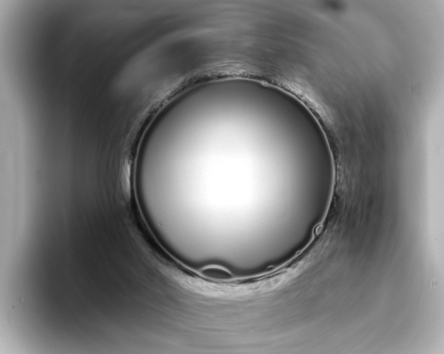 X0000095130014200712211339