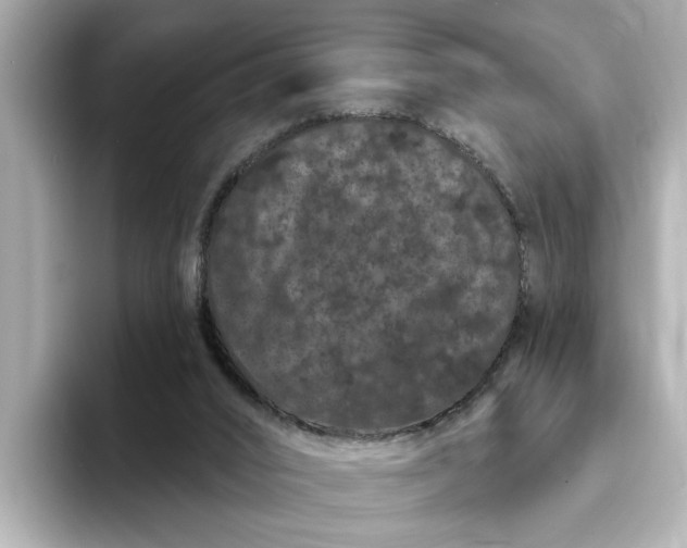 X0000095130016200712211339