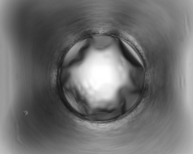 X0000095130018200712211339