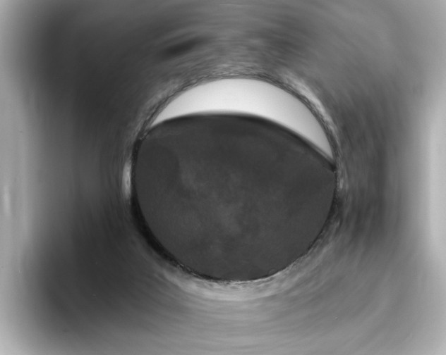 X0000095130019200712211339