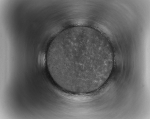 X0000095130024200712211339