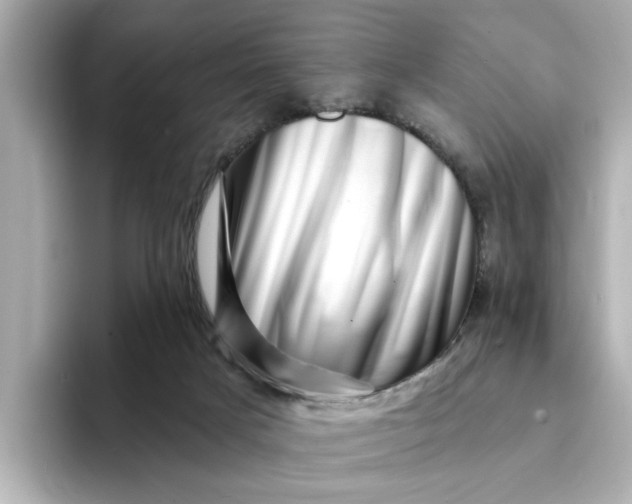 X0000095130025200712211339