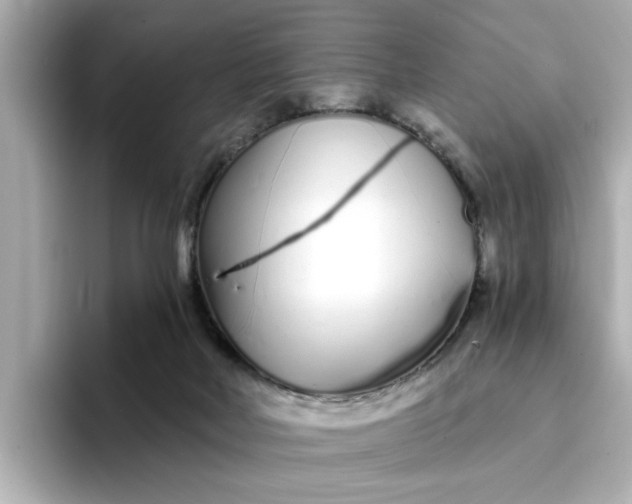 X0000095130026200712211339