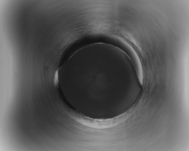 X0000095130027200712211339