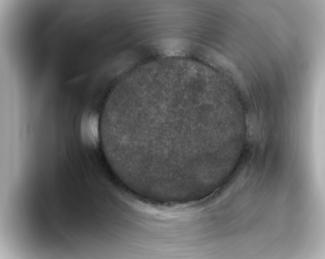 X0000095130028200712211339