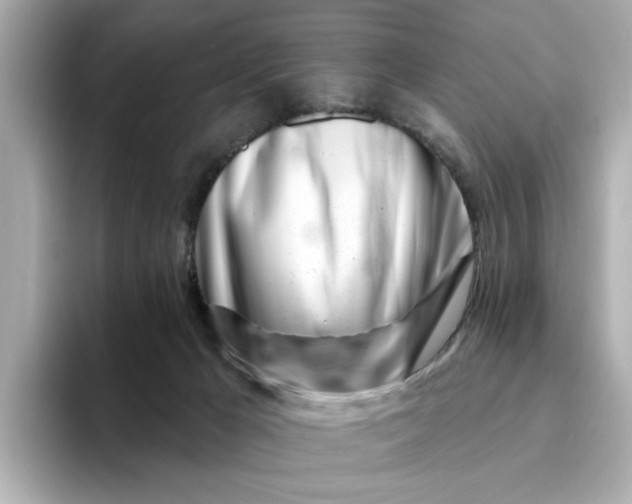 X0000095130029200712211339