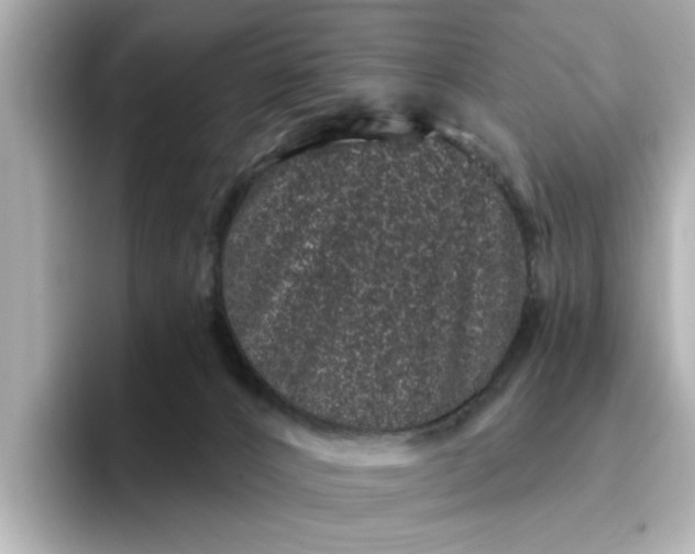 X0000095130032200712211339