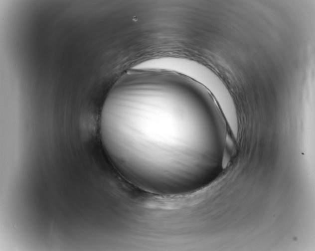 X0000095130033200712211339