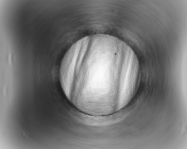 X0000095130034200712211339