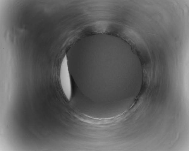 X0000095130035200712211339