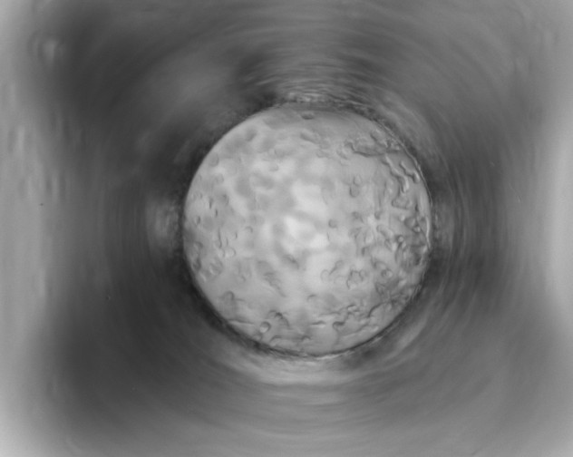 X0000095130036200712211339