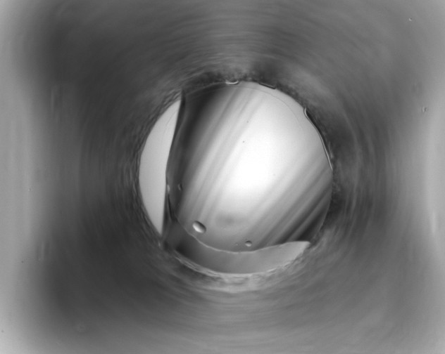 X0000095130037200712211339