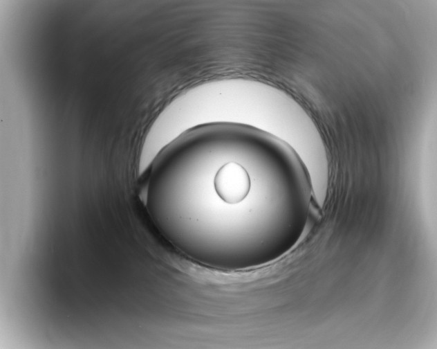 X0000095130039200712211339