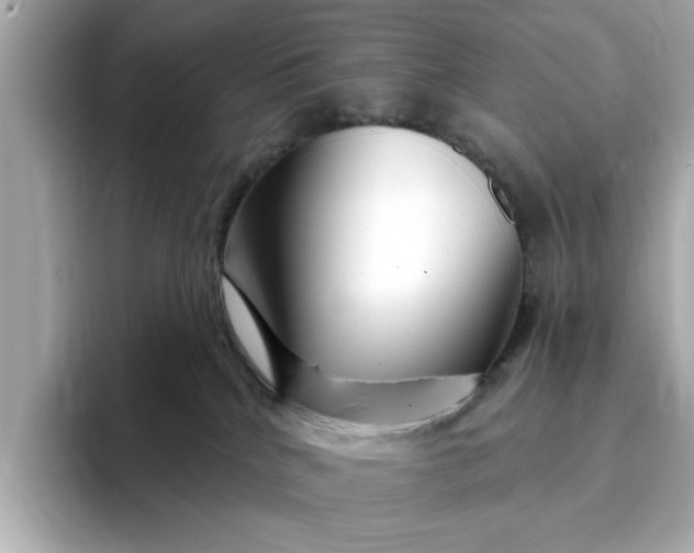 X0000095130040200712211339