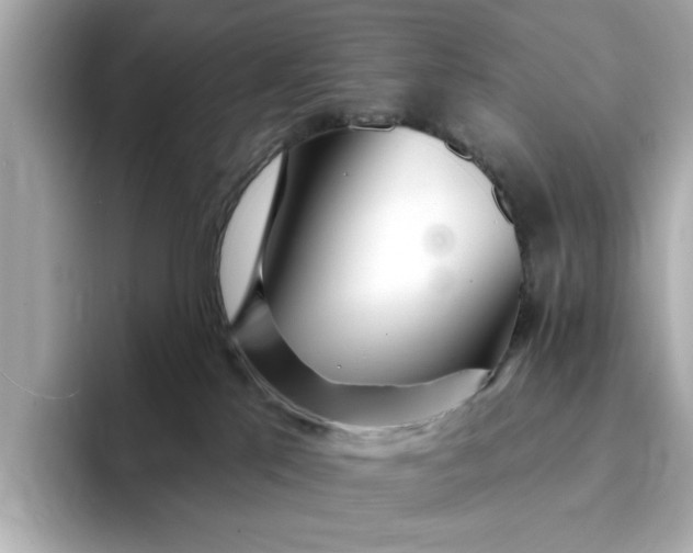 X0000095130041200712211339