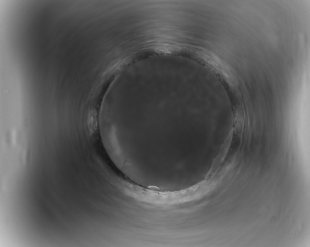 X0000095130043200712211339