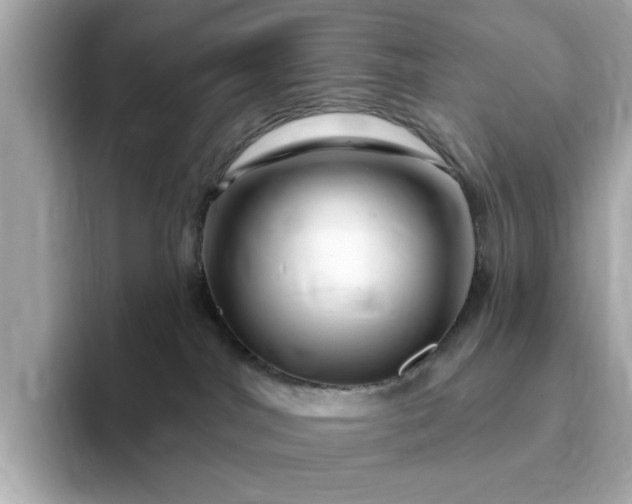 X0000095130044200712211339