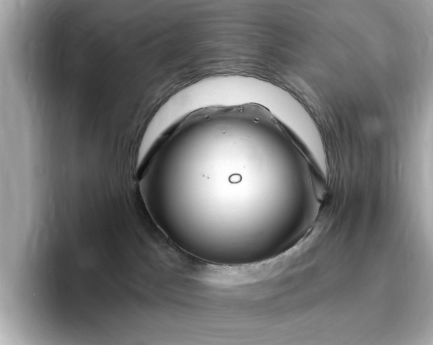 X0000095130045200712211339