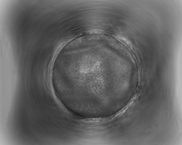 X0000095130049200712211338