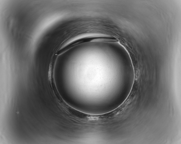 X0000095130052200712211338