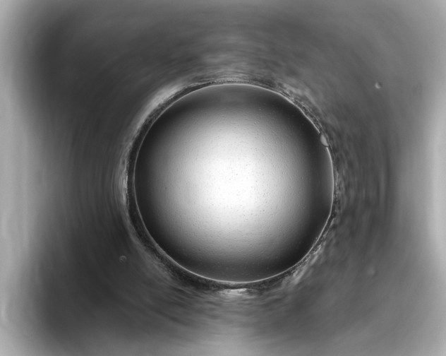 X0000095130054200712211338