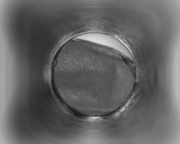 X0000095130055200712211338