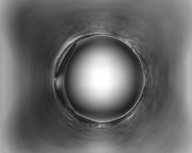 X0000095130056200712211338