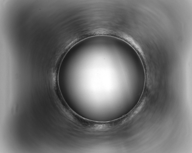 X0000095130057200712211338