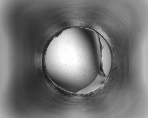 X0000095130058200712211338