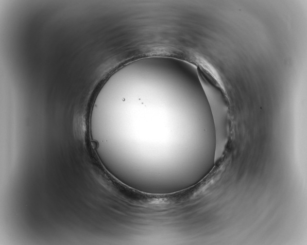 X0000095130059200712211338