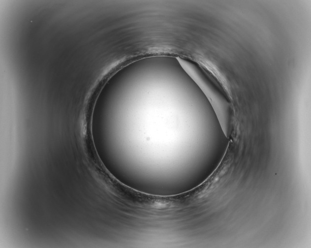 X0000095130060200712211338