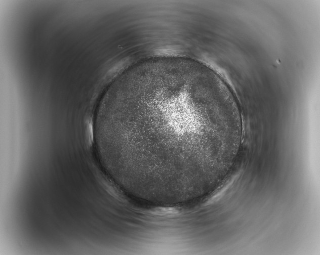 X0000095130061200712211338