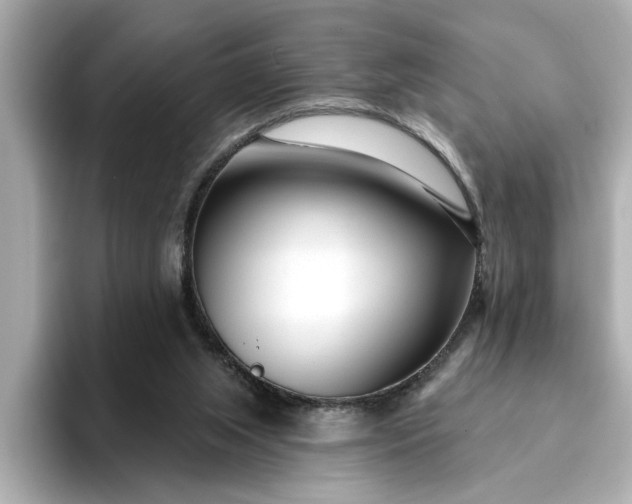 X0000095130063200712211338