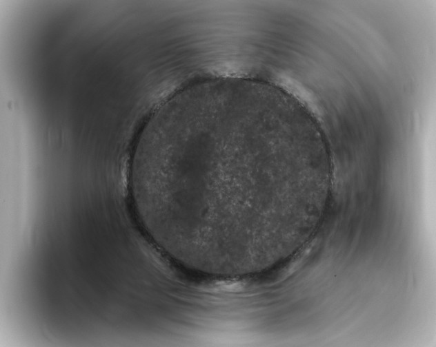 X0000095130065200712211338