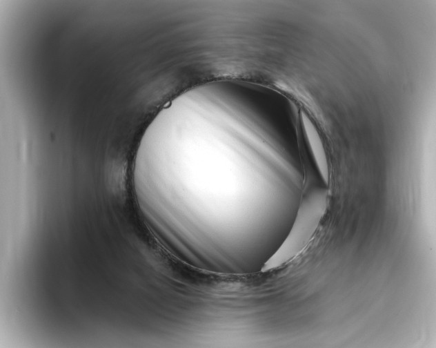 X0000095130066200712211338