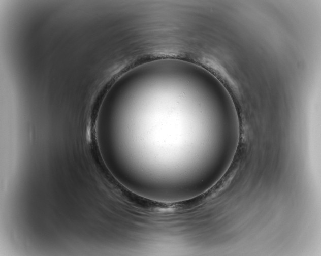 X0000095130068200712211338