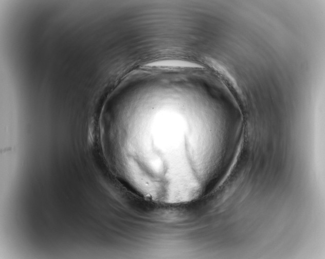 X0000095130069200712211338