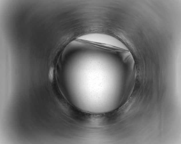 X0000095130070200712211338