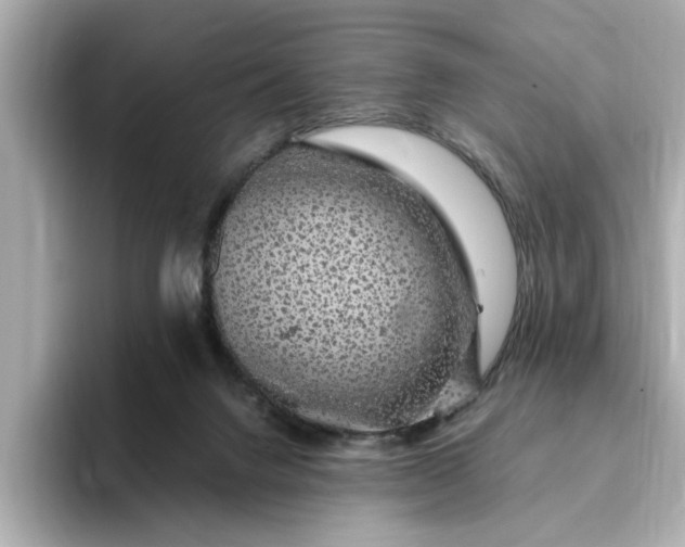 X0000095130072200712211338