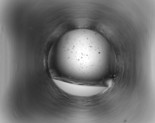 X0000095130074200712211338