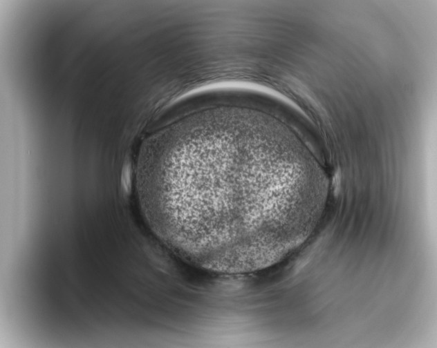 X0000095130076200712211338