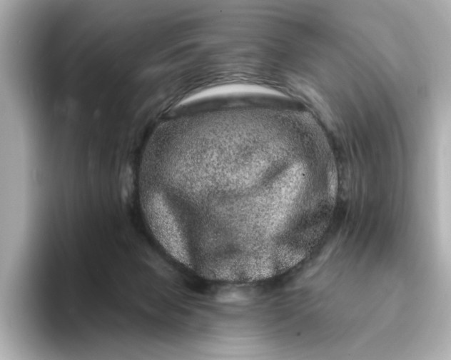 X0000095130077200712211338