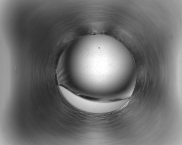 X0000095130078200712211338