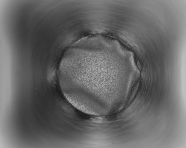 X0000095130079200712211338