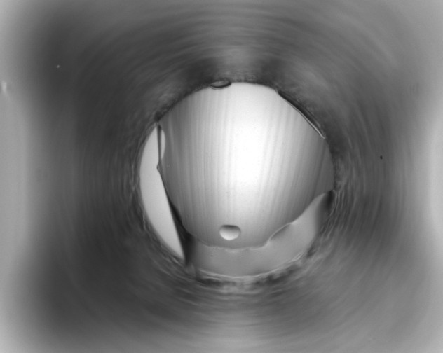 X0000095130080200712211338