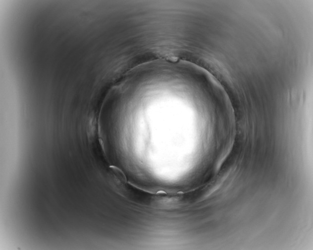 X0000095130081200712211338