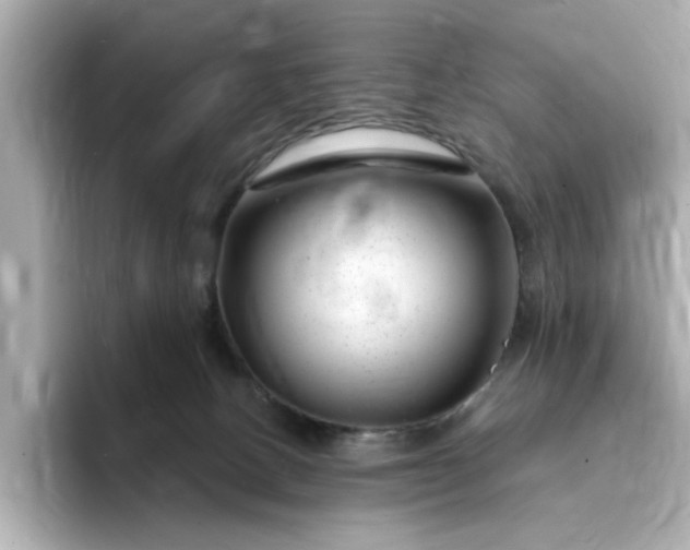 X0000095130082200712211338