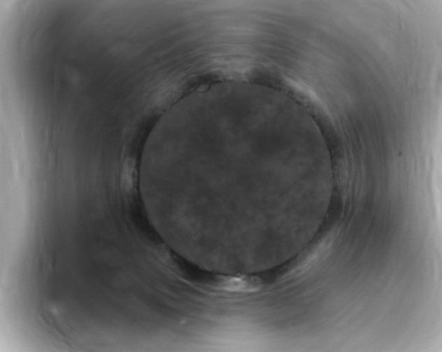 X0000095130083200712211338