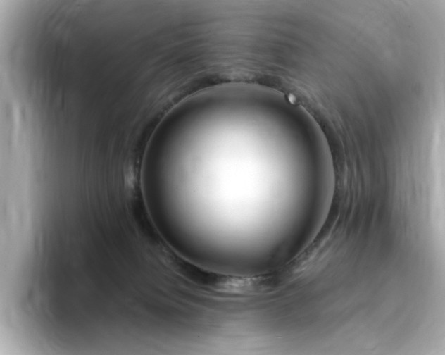 X0000095130084200712211338